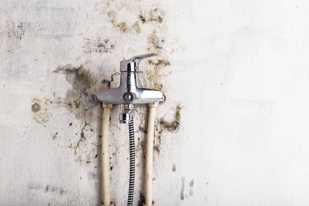 Best Home Mold Removal  in Innotion, VA