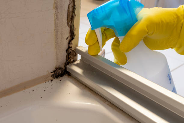 Best Mold Removal Company Near Me  in Innotion, VA