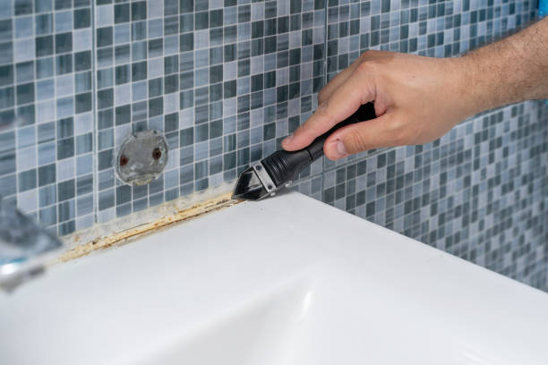 Home Mold Removal in Innovation, VA