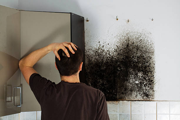 Best Mold Testing  in Innotion, VA